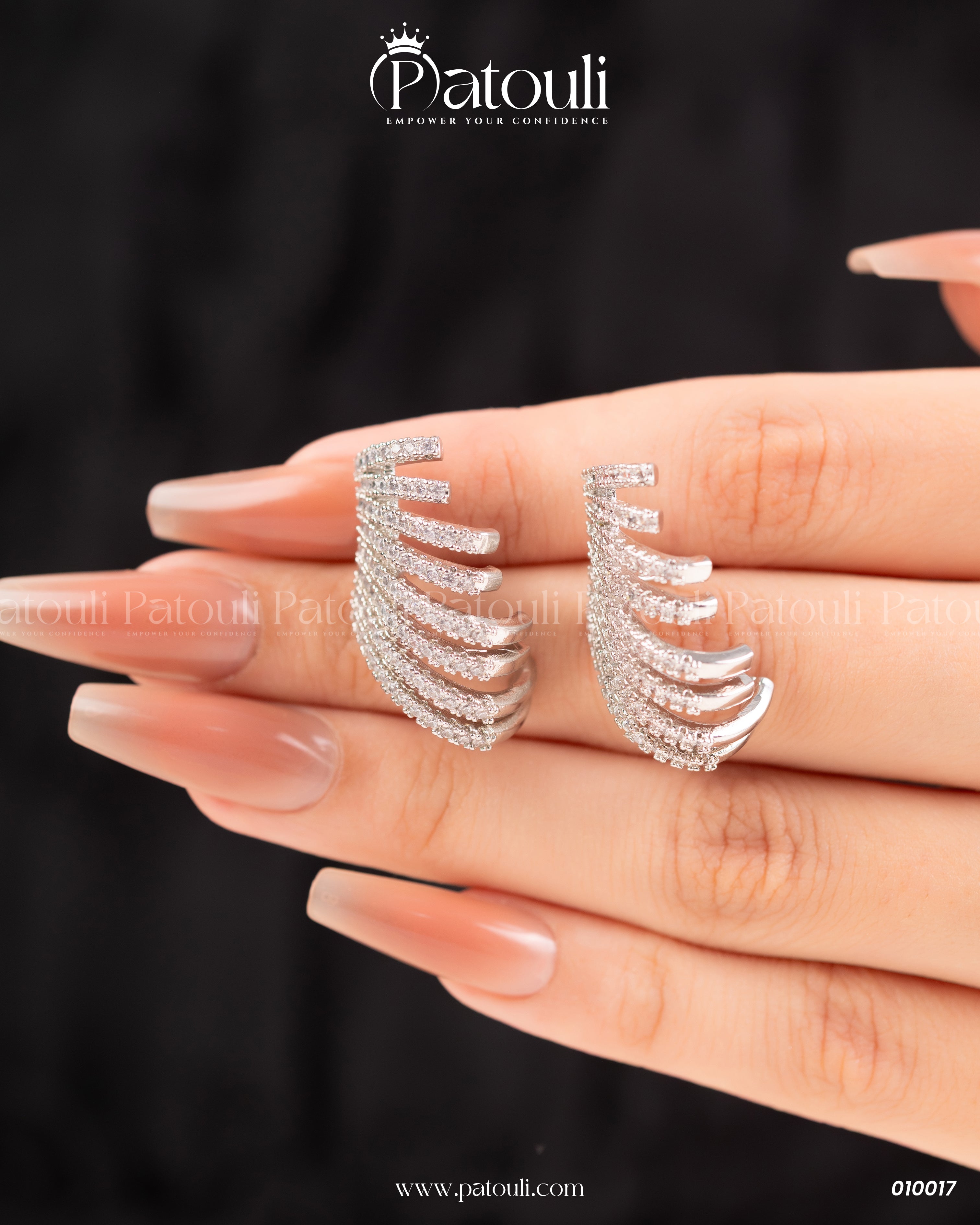 Hoop With Claw Style Earrings